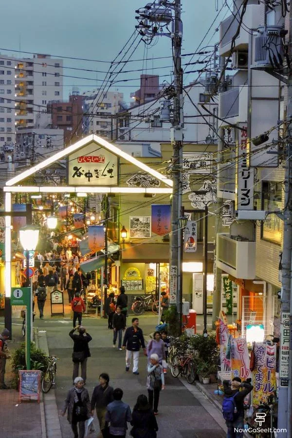 50 Things To Do in Tokyo: Ultimate Tokyo Bucket List